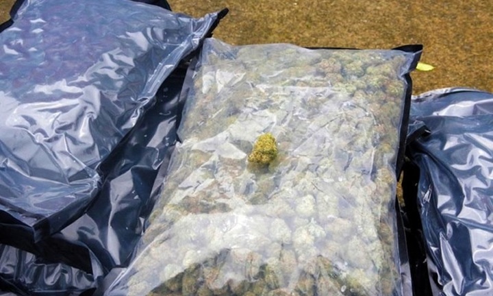 Tin pháp luật nổi bật 24h qua: Ngư dân giao nộp 81kg cần sa khô trôi dạt trên biển