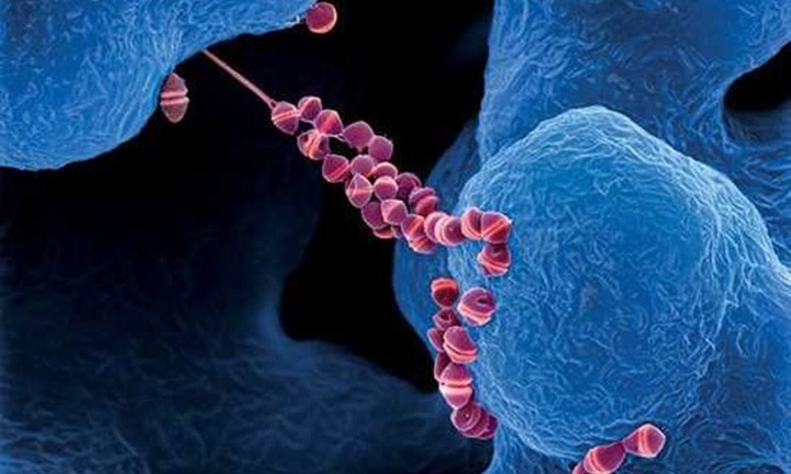 Nhậu với lòng lợn, nem chua, người đàn ông mắc bệnh nguy hiểm 