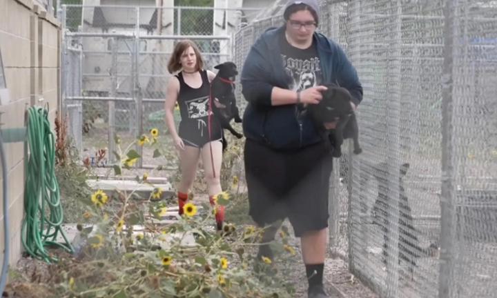 FBI tiêu hủy ma túy đá, 14 người vào viện vì hít phải khói 