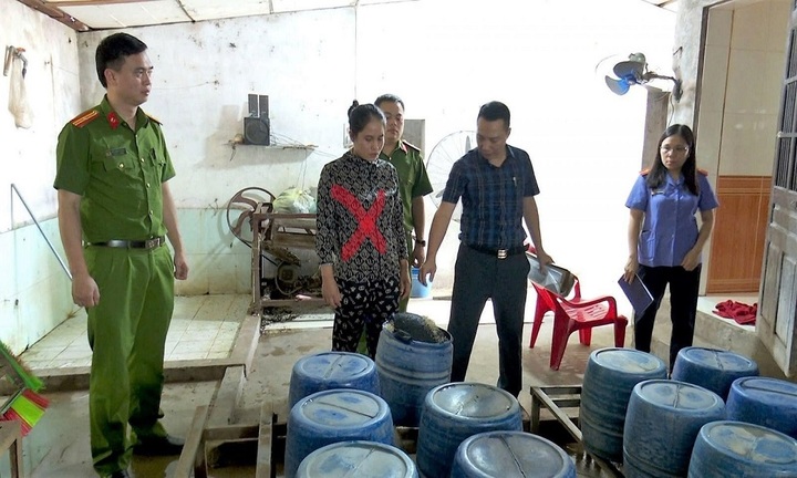 Khởi tố Trần Thị Hạnh sản xuất giá đỗ bằng hóa chất