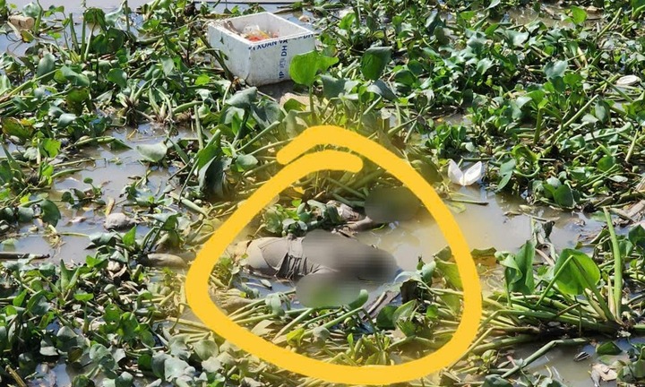 Tin thời sự hôm nay (16/9): Phát hiện thi thể trên sông Bảo Định 