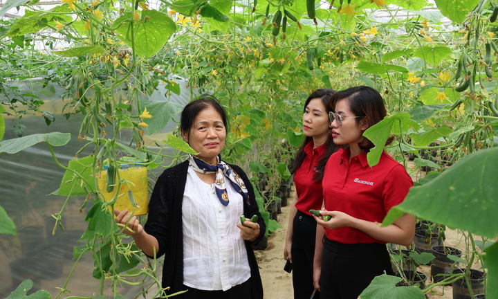 Agribank - Doanh nghiệp ESG Việt Nam ESG Việt Nam xanh 2025