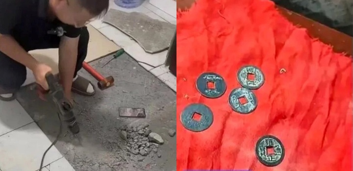 Thấy chó cưng có biểu hiện lạ khi về nhà mới, chủ nhân đào sàn nhà và phát hiện ra sự thật bất ngờ