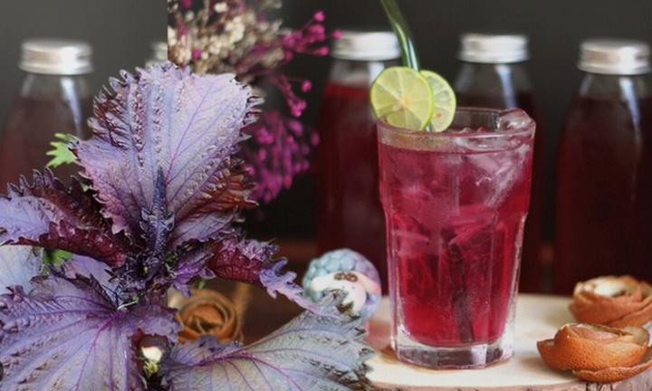 Công dụng tuyệt vời của lá tía tô đối với gan