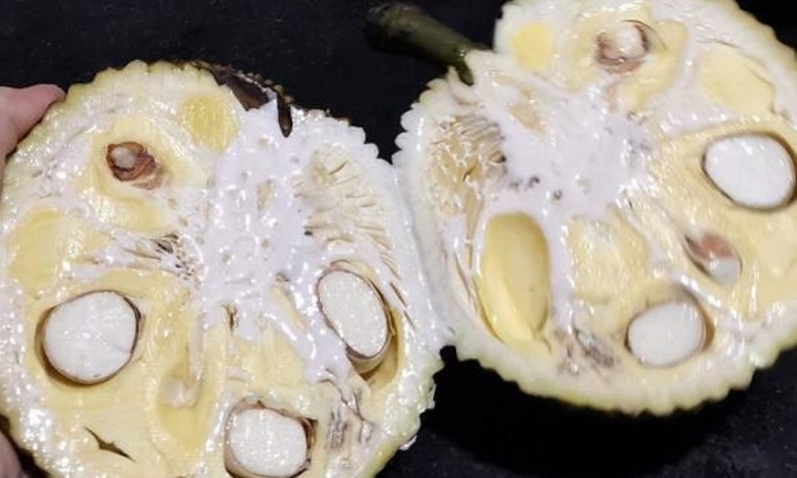 Ăn mít xong nhựa dính đầy tay, làm cách này là sạch