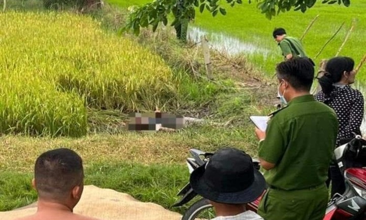 Tin thời sự hôm nay (18/9): Danh tính hai người tử vong trong ruộng lúa ở Gia Lai