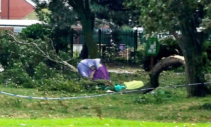 Trú ngụ trong lều, người đàn ông bị cành cây đè thiệt mạng, camera ghi lại phút sau thảm kịch