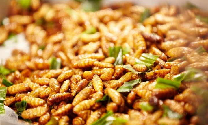 Tin tức đời sống 19/9: Cô gái phải cấp cứu sau bữa cơm có món ăn đặc sản