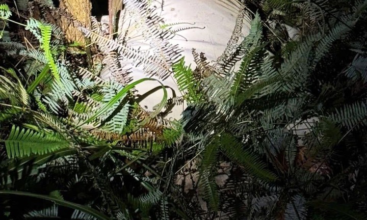 Điều tra vụ phát hiện thi thể nữ đang phân hủy, giấu trong bao vải ở Quảng Ninh