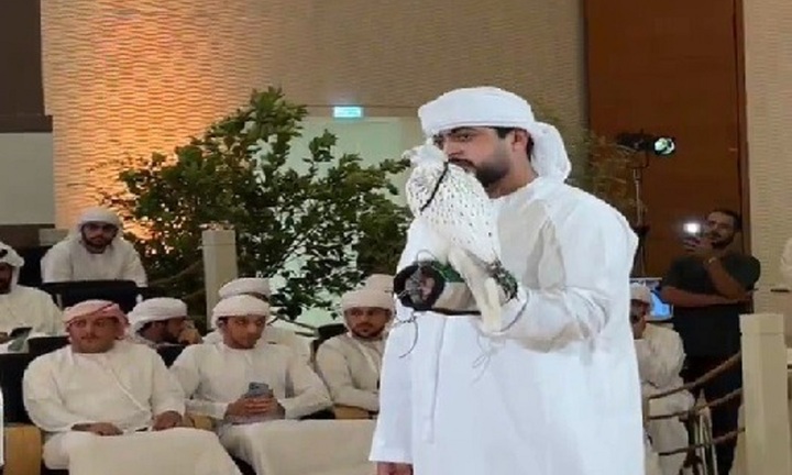 Clip: Cận cảnh con chim quý được 