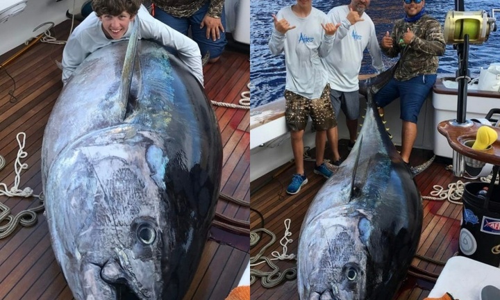Clip: Cậu bé câu được con cá ngừ vây xanh nặng 379kg, trị giá 626 triệu đồng