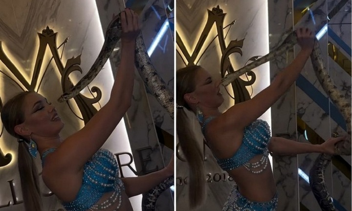 Clip: Đang tạo dáng chụp ảnh, cô gái xinh đẹp bị con trăn cắn phập vào mũi