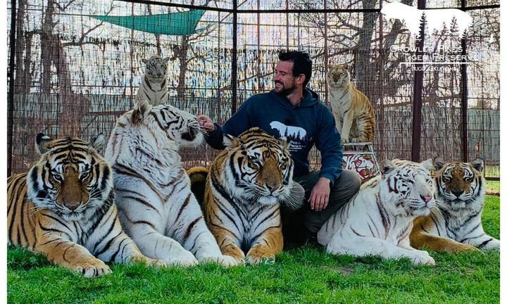 Huấn luyện viên bị hổ tấn công tử vong tại khu bảo tồn 