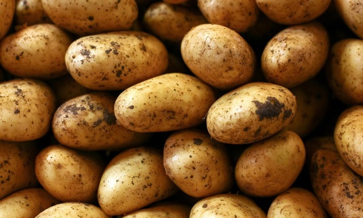 Người mắc bệnh thận có nên ăn khoai tây không?