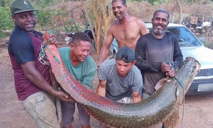 Clip: Nhóm ngư dân may mắn bắt được con cá khổng lồ dài 2,2 mét, nặng 80kg trên sông