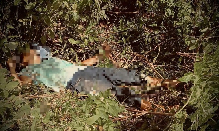 Đi chăn bò thuê, người phụ nữ bị điện giật tử vong thương tâm