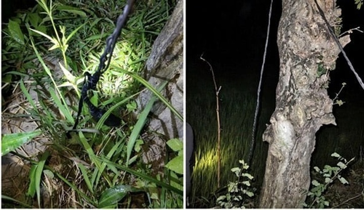 Vụ 2 người tử vong bất thường ở ruộng lúa tại Gia Lai: Vì sao cụ ông 79 tuổi bị khởi tố?