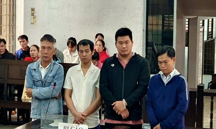 Vụ giá đỗ ngâm tẩm chất cấm 6-Benylamiopurine: 4 bị cáo lãnh án tù