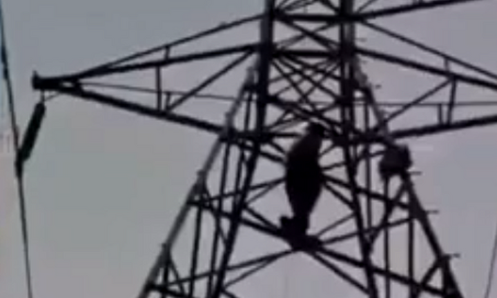 Clip: Biết tin bạn gái sắp kết hôn với người khác, nam thanh niên trèo lên cột điện la hét đòi cưới