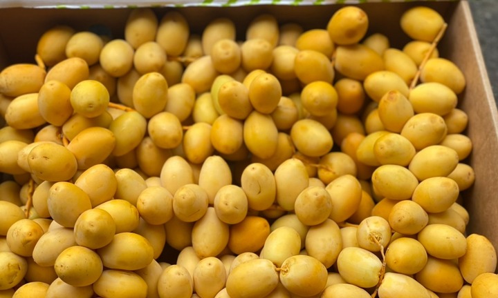 Người bệnh thận có nên ăn quả chà là không?