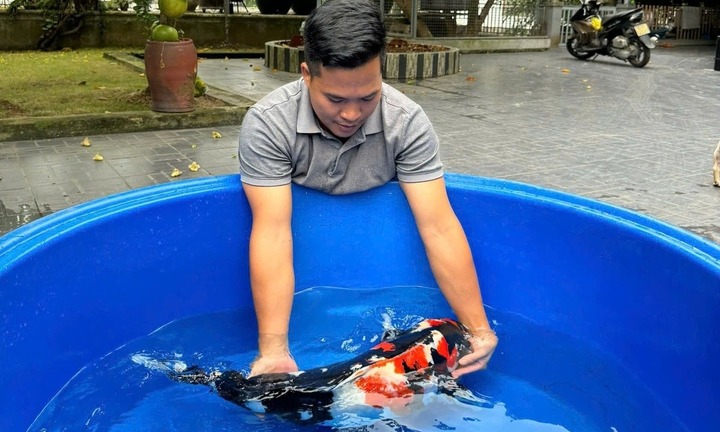 Chàng kỹ sư xây dựng về quê làm nông dân xuất sắc, thu lợi cả tỷ đồng/năm từ cá Koi, gà chọi