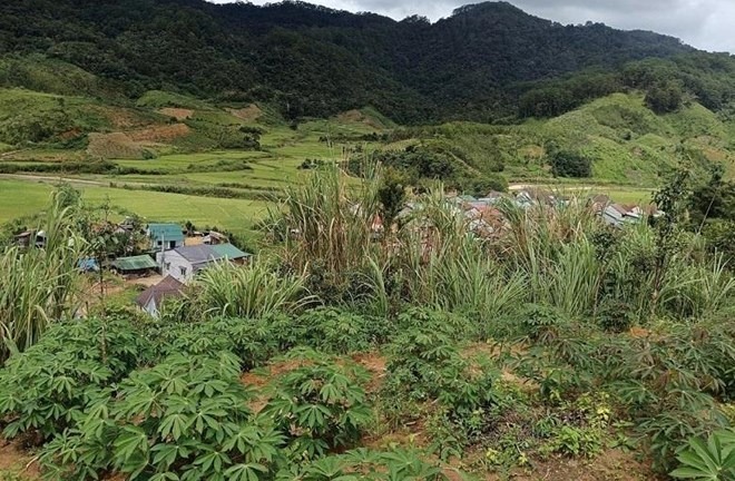 Tin tức thời sự hôm nay (28/9): Núi bất ngờ nứt dài 200m ở Quảng Ngãi