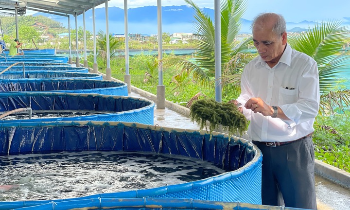 Bỏ nghề kỹ sư địa chất, người đàn ông ở Khánh Hòa biến ao tôm bỏ hoang thành 