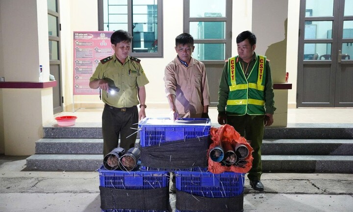 Bắt giữ đối tượng vận chuyển trái phép động vật hoang dã ở Điện Biên