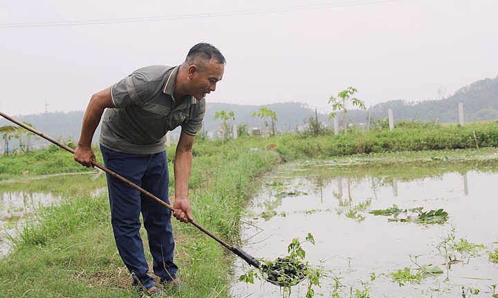 Choáng: Nông dân Nghệ An nuôi con vật 