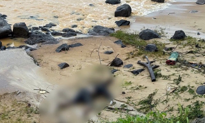 Vụ thi thể không nguyên vẹn dạt vào bờ biển Quảng Trị: Nạn nhân là học sinh lớp 11, gia đình tiết lộ tình tiết đau lòng