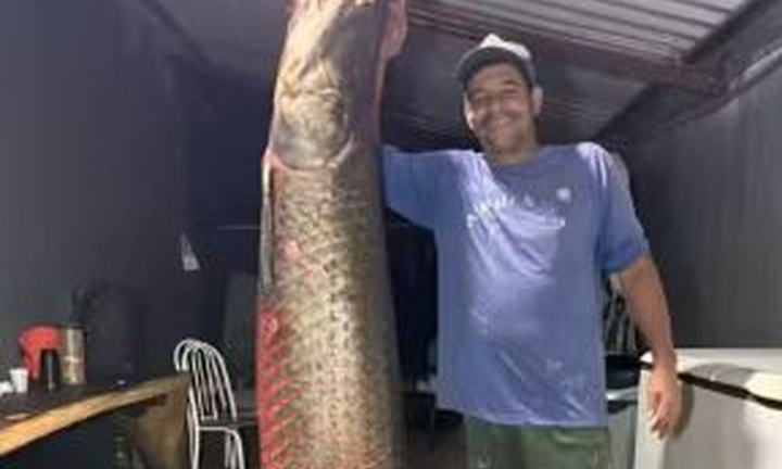 Bắt được cá hải tượng long dài 2,42m nặng 130kg, ngư dân thu lời bạc triệu