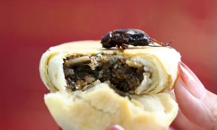 Bánh trung thu nhân dế gây sốt tại Trung Quốc, hương vị có gì đặc biệt?