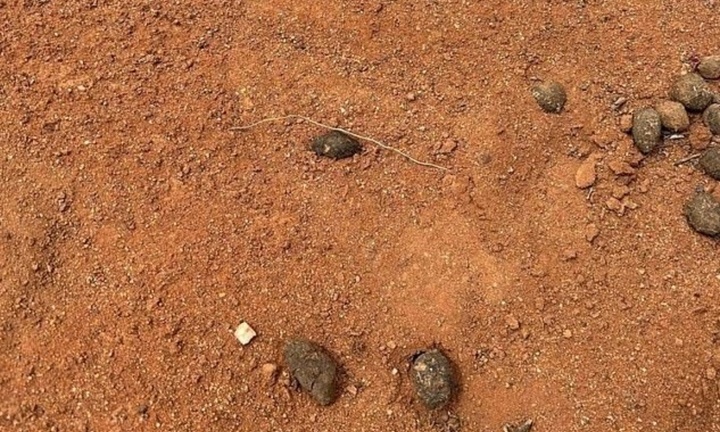 Bé trai mất tích bí ẩn tại trang trại của ông bà, tiết lộ manh mối duy nhất để lại