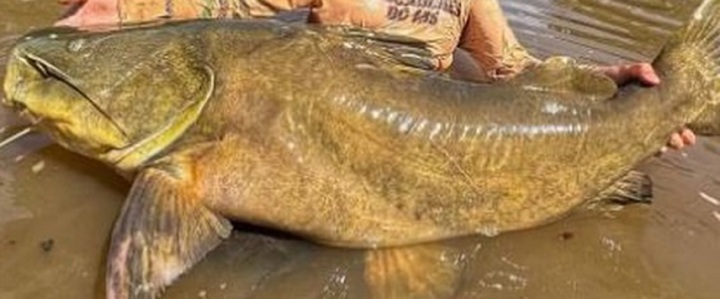 Clip: Bắt được 