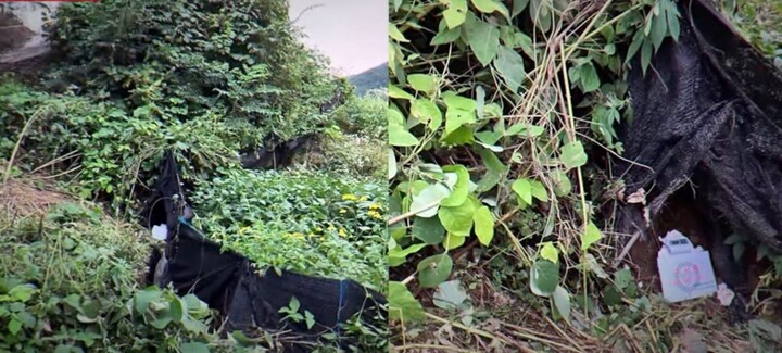 Phát hiện thi thể nữ diễn viên trẻ trên núi sau buổi livestream gây chấn động Hàn Quốc