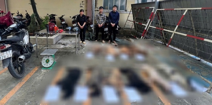 Trộm chó, Trần Minh Trung bị bắt