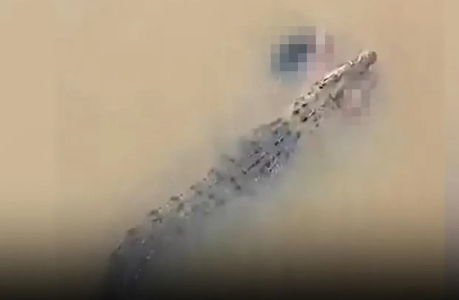 Clip: Đang tắm sông, người phụ nữ bất ngờ bị cá sấu lôi đi trước sự chứng kiến của nhiều người