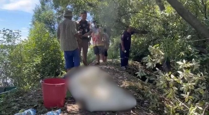 Sau khi bị kiến cắn, người đàn ông 39 tuổi tử vong thương tâm