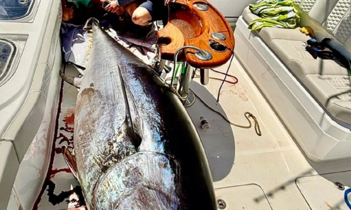 Cần thủ câu được