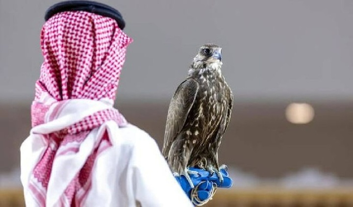 Con chim quý được bán với giá 4,5 tỷ đồng, đại gia vẫn chốt mua không do dự