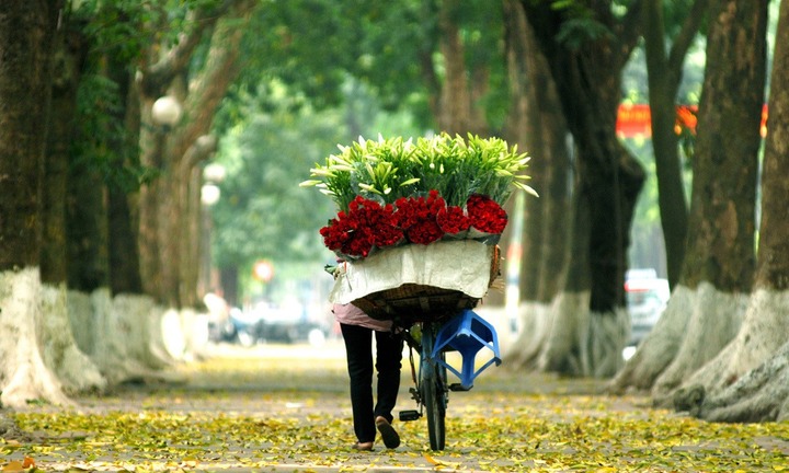 Tin tức dự báo thời tiết hôm nay (16/10): Bắc Bộ mát mẻ, mưa vài nơi