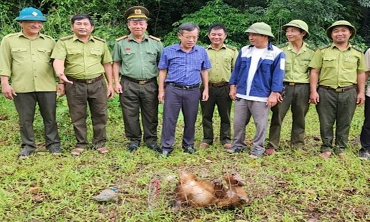 Tin tức thời sự hôm nay (18/10): Khỉ mặt đỏ quý hiếm vào vườn nhà dân