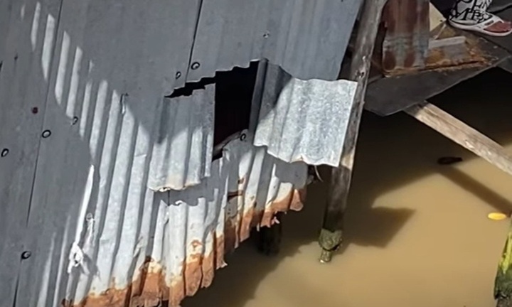 Mẹ ngủ dậy phát hiện con trai 4 tháng tuổi mất tích, nghi rơi xuống sông