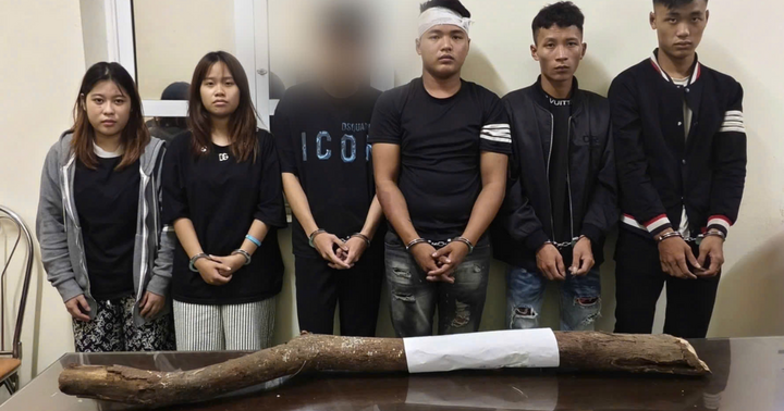 Tham gia đánh nhau, 2 