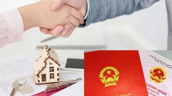 Lấy Sổ đỏ của người khác đi thế chấp có bị phạt không