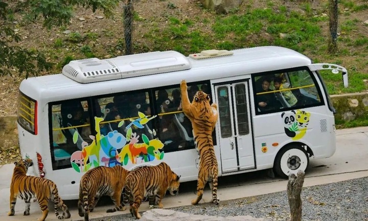 Vườn thú tuyển nhân viên có