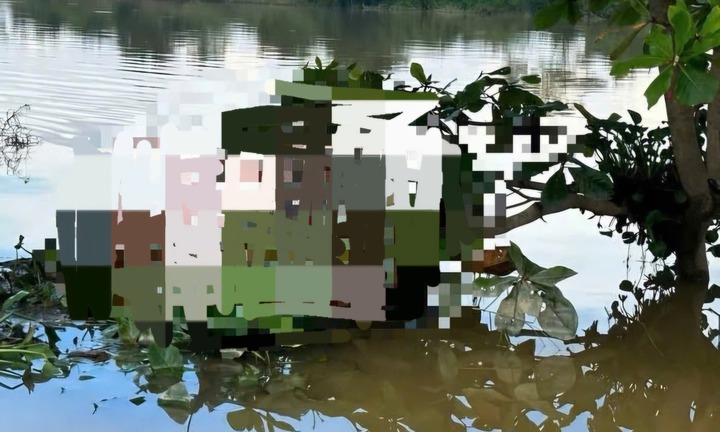 Tin tức thời sự ngày (1/11): Lũ rút, bàng hoàng phát hiện thi thể trên cành cây