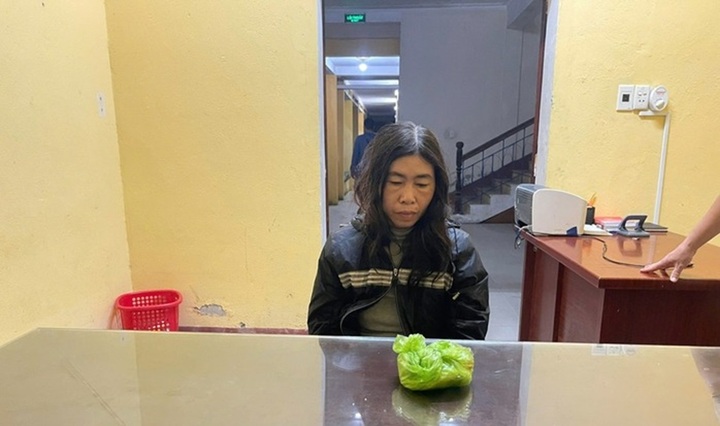 Bắt giữ Trần Thị Minh Hà