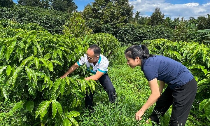 PVFCCo – Phú Mỹ: 21 năm bền bỉ truyền thống sáng tạo, gắn kết và sẻ chia