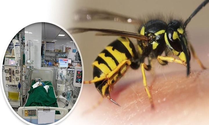 Bé gái 9 tuổi bị